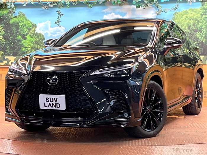 2023 Lexus NX