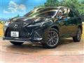 2020 Lexus RX
