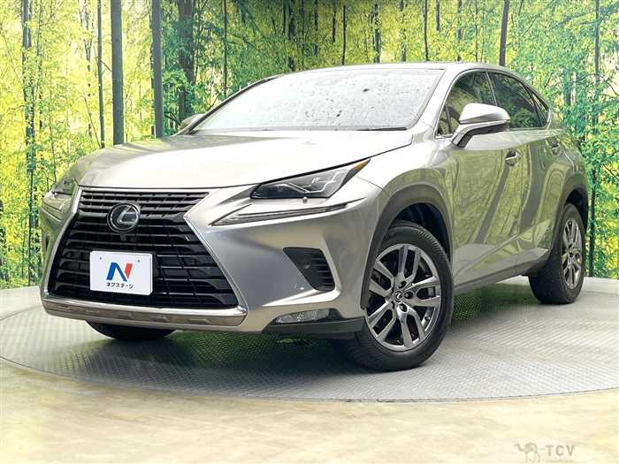 2017 Lexus NX