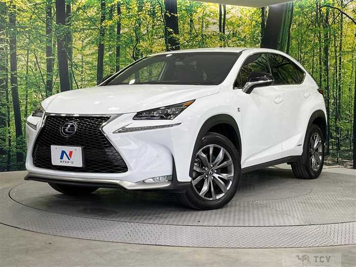 2015 Lexus NX