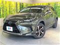2021 Lexus NX