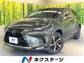 2021 Lexus NX