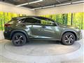 2021 Lexus NX