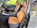 2021 Lexus NX