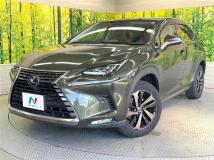2021 Lexus NX