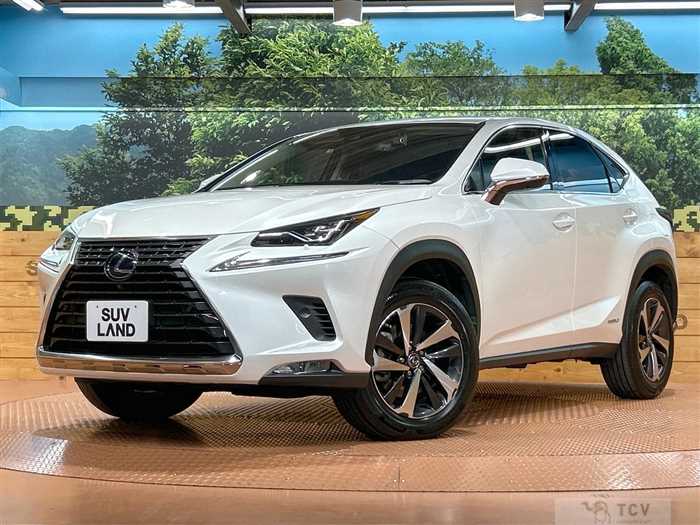 2021 Lexus NX