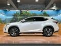 2021 Lexus NX