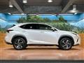 2021 Lexus NX