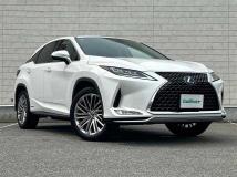 2020 Lexus RX