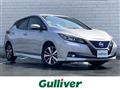 2020 Nissan Leaf