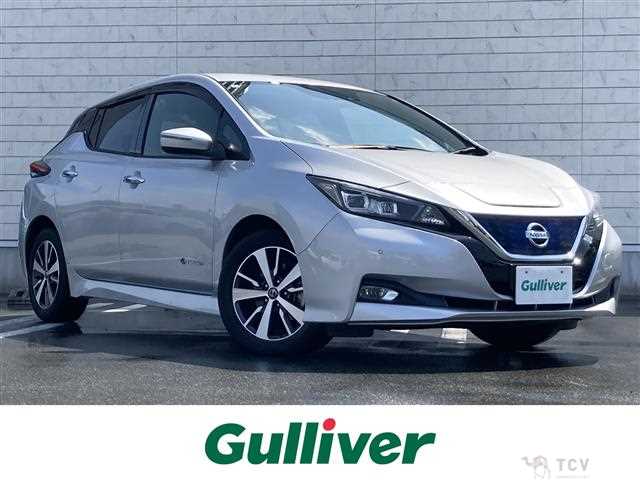 2020 Nissan Leaf