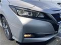 2020 Nissan Leaf