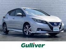 2020 Nissan Leaf