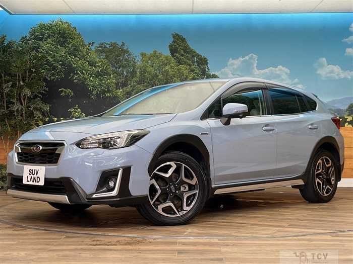 2019 Subaru Subaru Others
