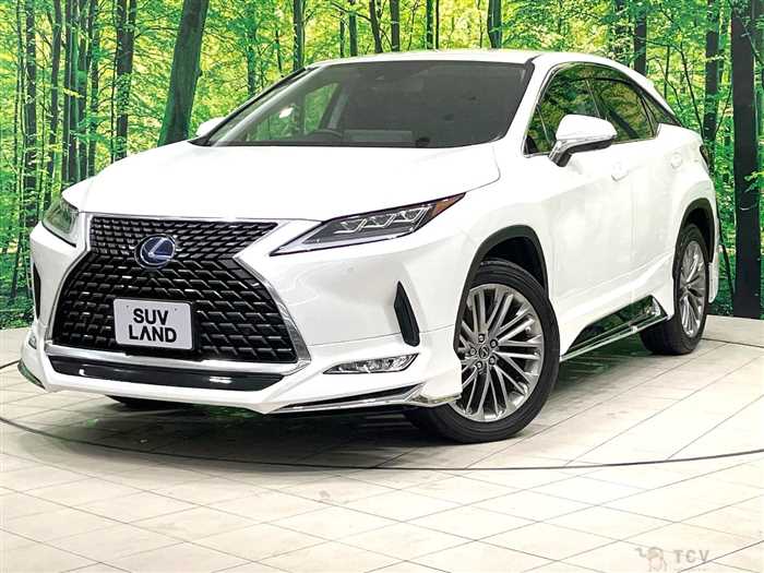 2019 Lexus RX