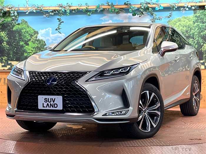 2021 Lexus RX