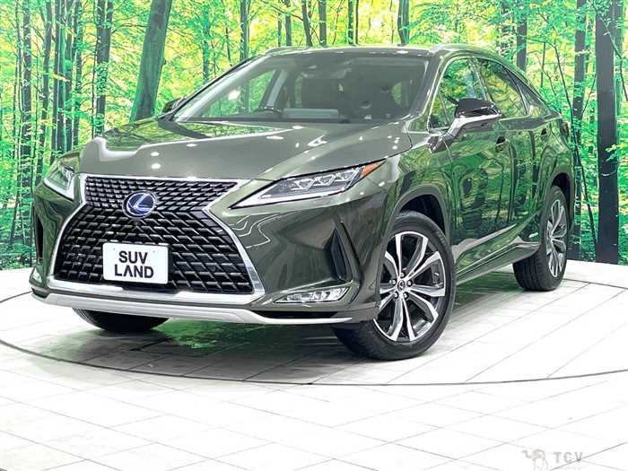 2019 Lexus RX