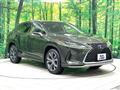 2019 Lexus RX
