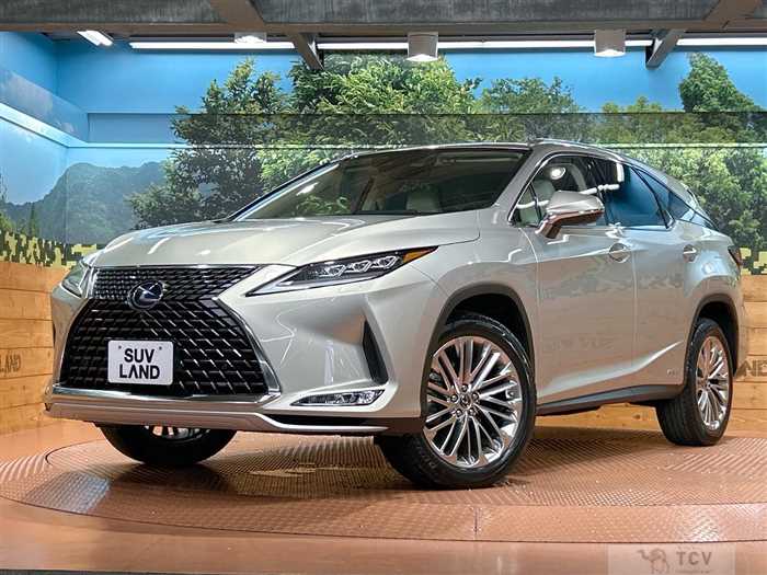 2019 Lexus RX