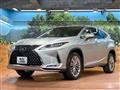 2019 Lexus RX