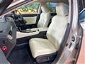 2019 Lexus RX