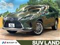 2021 Lexus RX