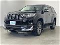 2019 Toyota Land Cruiser Prado