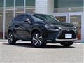 2019 Lexus NX