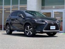 2019 Lexus NX