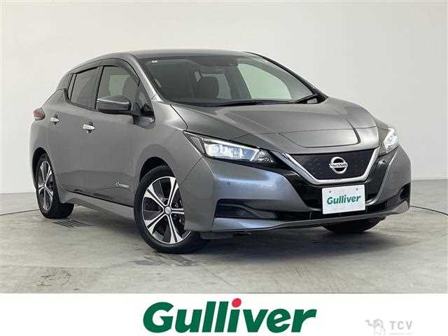 2018 Nissan Leaf