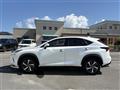 2018 Lexus NX