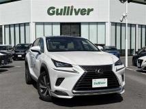 2018 Lexus NX