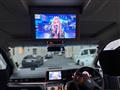 2008 Nissan Elgrand