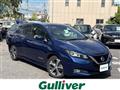 2018 Nissan Leaf