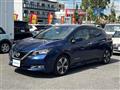 2018 Nissan Leaf