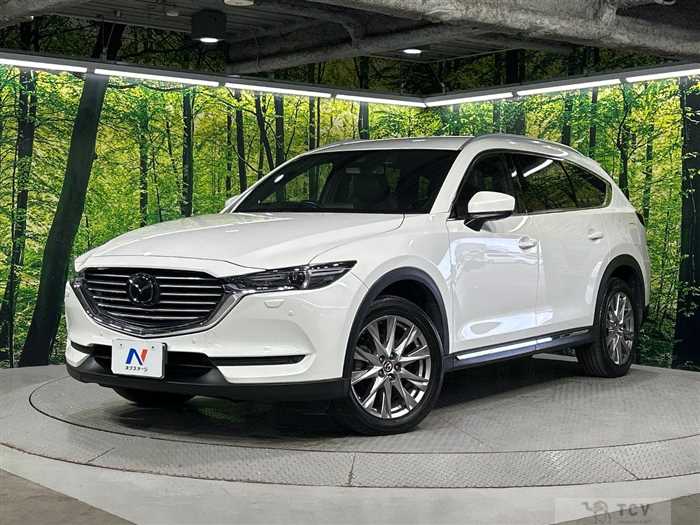 2018 Mazda CX-8