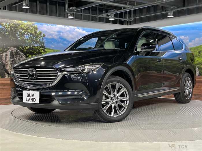 2019 Mazda CX-8