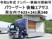 2019 Isuzu Isuzu Others