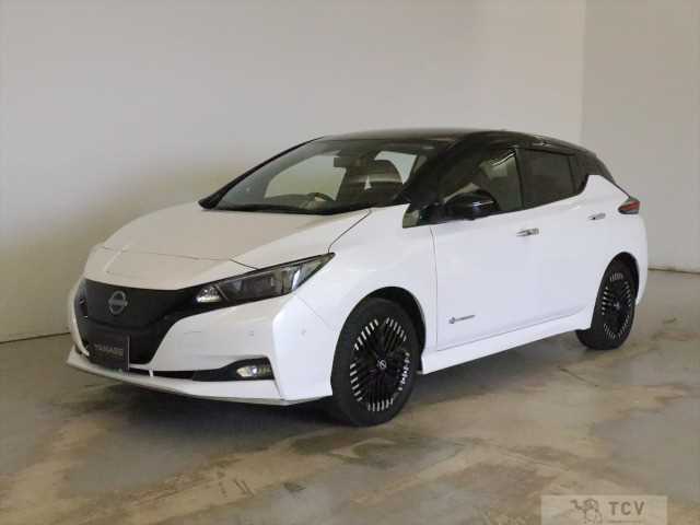 2024 Nissan Nissan Others
