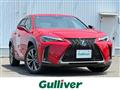 2020 Lexus UX