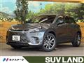 2024 Lexus Other