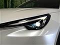 2025 Lexus Other
