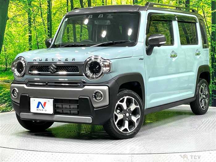 2021 Suzuki Hustler