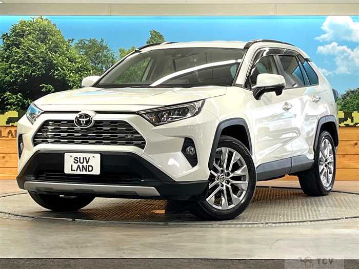 2020 Toyota RAV4