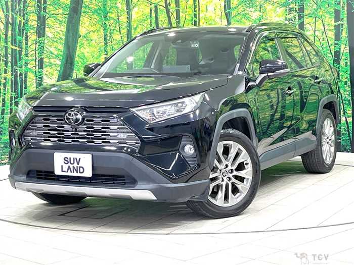 2020 Toyota RAV4