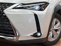 2019 Lexus Other