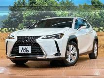 2019 Lexus Other