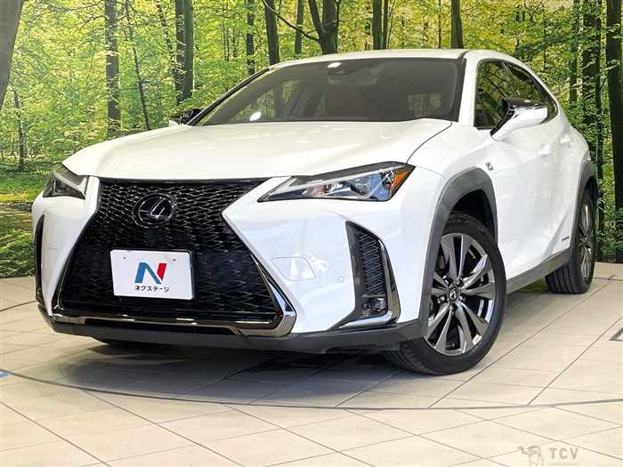2019 Lexus Other