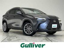 2022 Lexus NX
