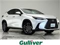 2024 Lexus NX